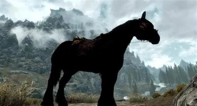 What happens to old horses in skyrim?
