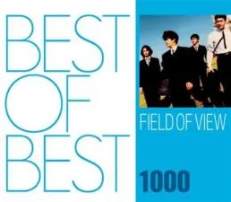 What is the field of view at 1000 m?