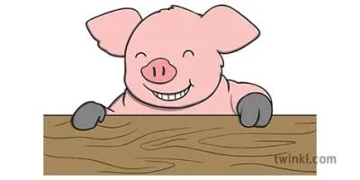 What is the idiom pork chop?