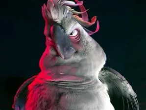 What is the evil birds name in rio?