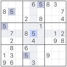 What do sudoku puzzles do for the brain?