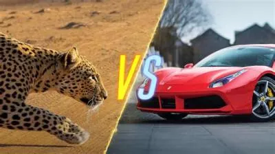 Is a ferrari faster than a cheetah?