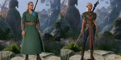 What class is a high elf good for?