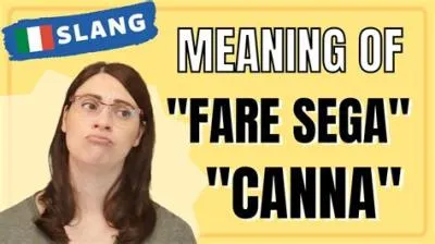 What does sega mean slang?
