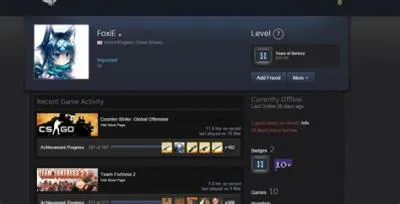 What is a game ban on steam?