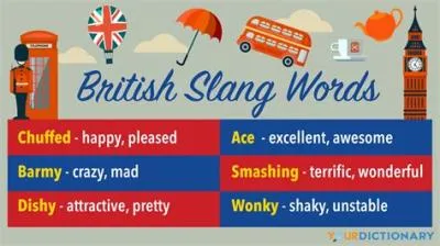 What does booky mean in british slang?