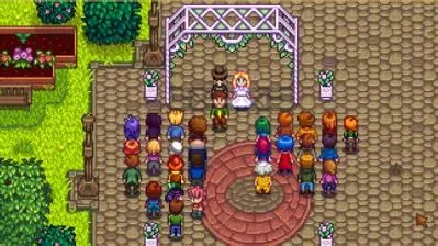 Can i marry my bf in stardew valley?