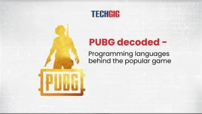 Which programming language is used in pubg?