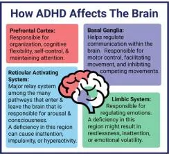 Can you be smart and have adhd?