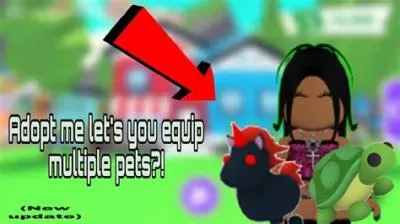 Can you equip 2 pets in adopt me?