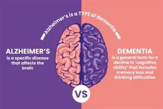 Whats the difference between alzheimers and dementia?