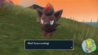 Where can i find zorua and zoroark?