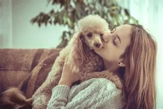 Do dogs prefer female owners?