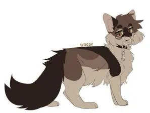 Is molly a girl in warrior cats?