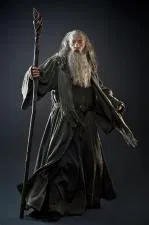 Is gandalf a sorcerer or a warlock?