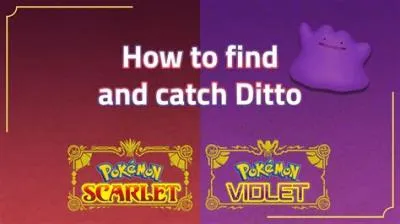 Where can i find ditto in pokemon violet?