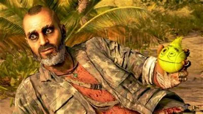 Is the vaas dlc canon?
