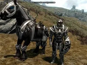 Does skyrim horse armor do anything?