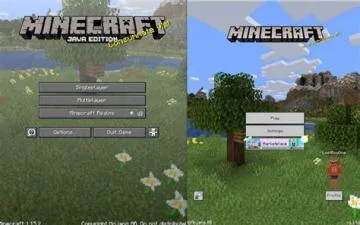 Does minecraft java have family sharing?