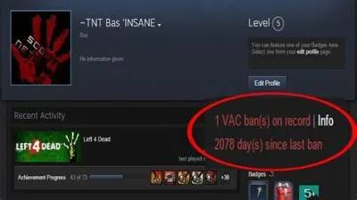 Can you see vac bans on steam?