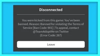 Can a game ban you for no reason?