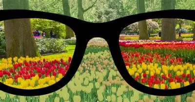 How much do color blind glasses cost?