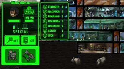 What is the maximum special in fallout?