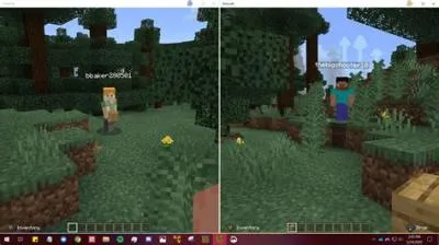 Why is my split-screen not working in minecraft?