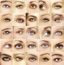 How many eyes can a human have?