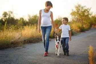 What happens if a mom dog gets pregnant by her son?