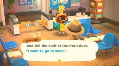 How does animal crossing dlc work?