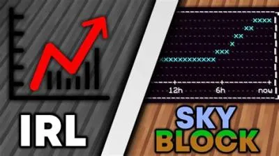 How long is 1 skyblock year in real life?