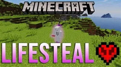 What is the lifesteal smp plugin?