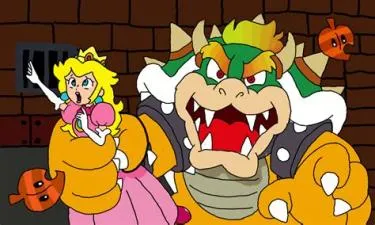 Why did bowser always kidnap peach?