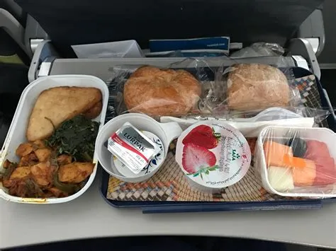 Can i bring food on a plane?