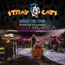 Does the cat in stray talk?
