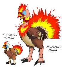Is there a pokémon based on a turkey?
