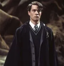 What harry potter is tom riddle in?