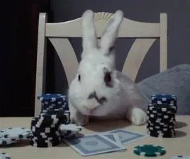 What is rabbit in poker?