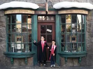 How much does harry potter world cost?