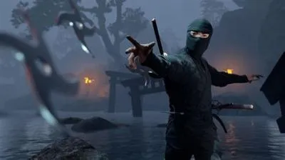 Does ninja use a pc?