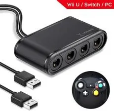 Why does the wii u gamecube adapter have two usb?
