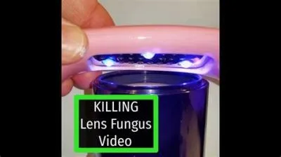 Can uv light eliminate fungi?