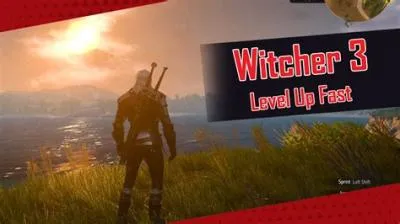 Can you over level in the witcher 3?