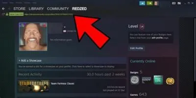 Can you buy steam profiles?