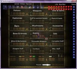 What is the max chests per world in terraria?