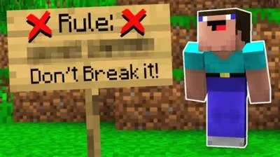 What is the 1 rule of minecraft?