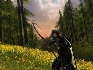 What race is best for hunter lotro?