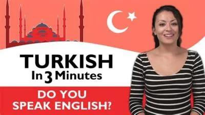 Do they speak any english in turkey?