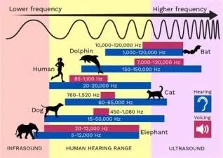 Can humans hear 10 hz?